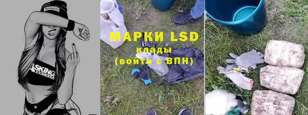ГАЛЛЮЦИНОГЕННЫЕ ГРИБЫ Алексеевка