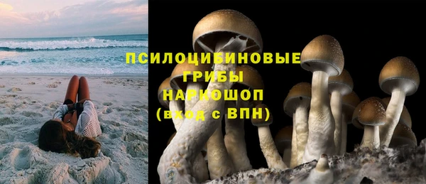 ГАЛЛЮЦИНОГЕННЫЕ ГРИБЫ Алексеевка