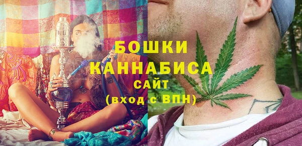 ГАЛЛЮЦИНОГЕННЫЕ ГРИБЫ Алексеевка