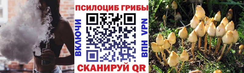 Галлюциногенные грибы мухоморы  omg рабочий сайт  Сергач 